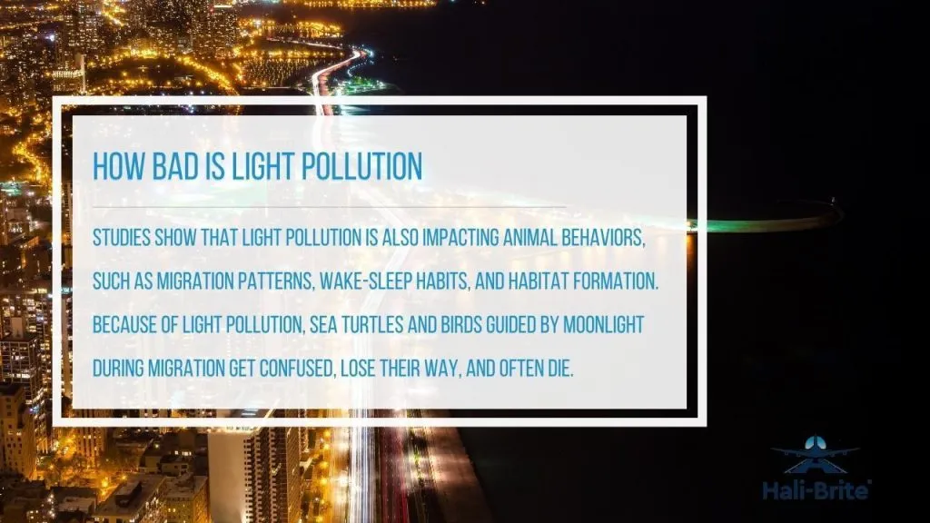Infographic of how bad is light pollution